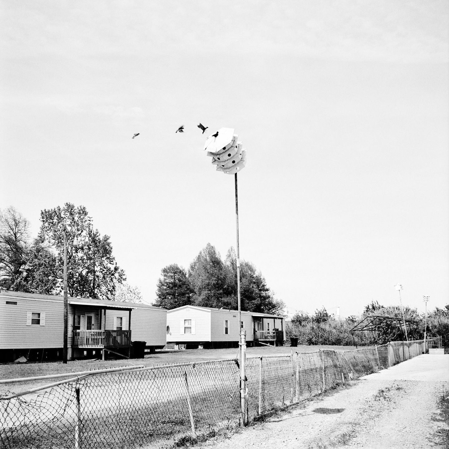 The Levee: A Photographer in the American South